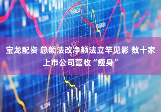 宝龙配资 总额法改净额法立竿见影 数十家上市公司营收“瘦身”