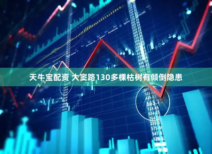 天牛宝配资 大窦路130多棵枯树有倾倒隐患