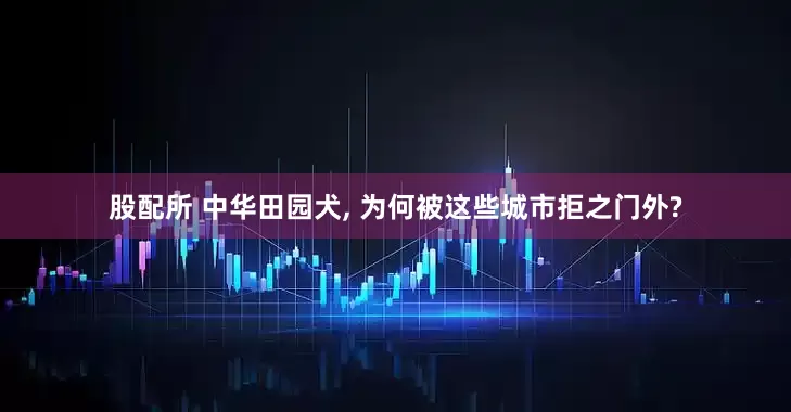 股配所 中华田园犬, 为何被这些城市拒之门外?