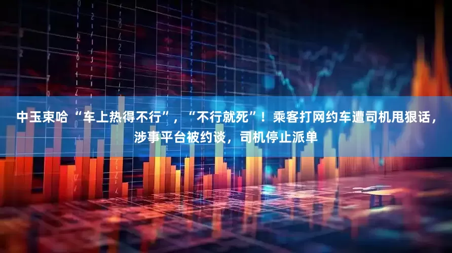 中玉束哈 “车上热得不行”，“不行就死”！乘客打网约车遭司机甩狠话，涉事平台被约谈，司机停止派单